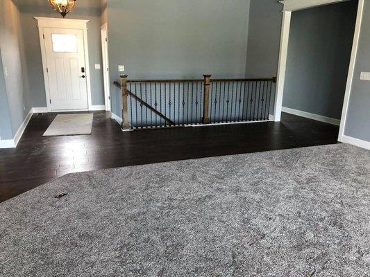 Stunning carpeted family room and hardwood hall.