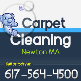 Carpet Cleaning Newton MA