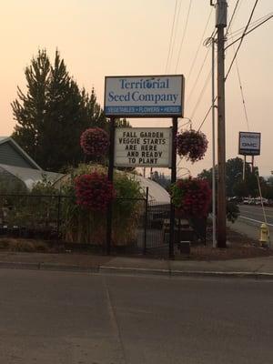 Welcome sign-you must see the hanging baskets.