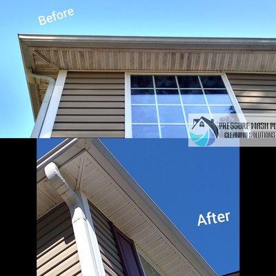 Don't repaint your home! Have it washed professionally and save money!