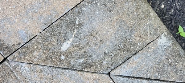 adhesive smeared on hardscape