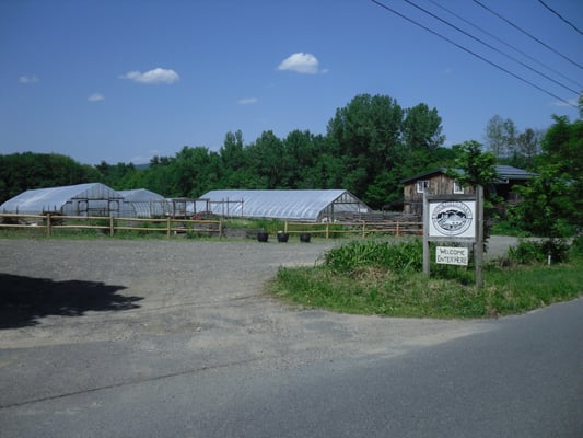 Farm entrance/parking lot.