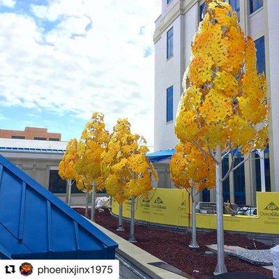 Aluminum Aspen trees, Cook Children's Medical Center Rooftop, Ft Worth TX