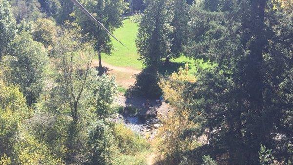 Looking down from the top of the zip line