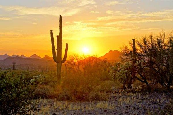 Let me help you find your Dream Home in "The Valley of The Sun"!