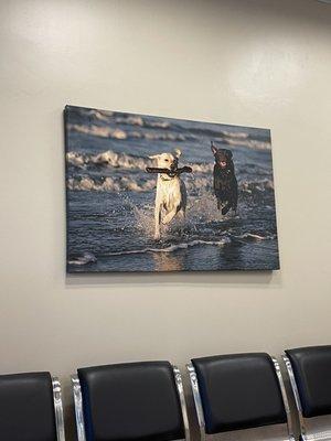 Picture in waiting area