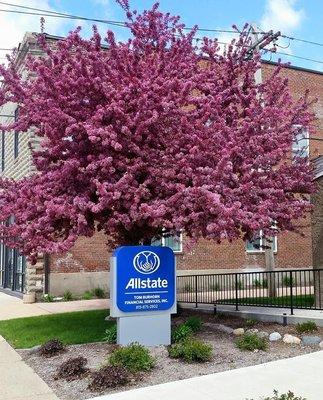 Allstate Insurance