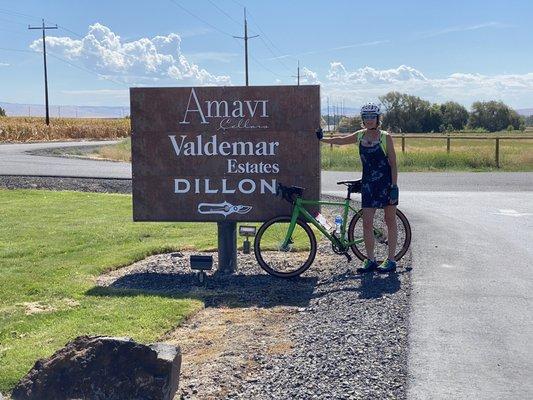 Cycling in wine country