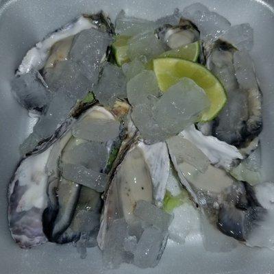 Oysters