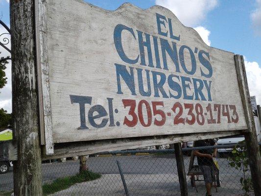 El Chino Nursery Address: 16751 SW 177th Ave, Miami, FL 33187 Phone: (305) 238-1743