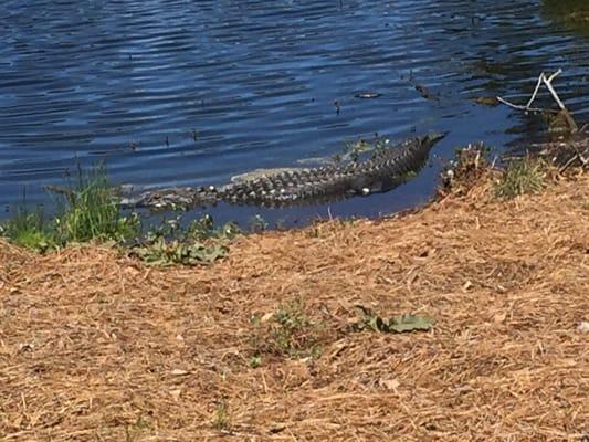 Oak Point Golf Course