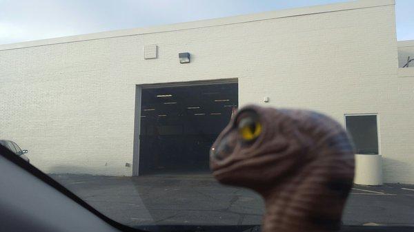 Bob the Raptor Says "Cars come here to get tires and oil."