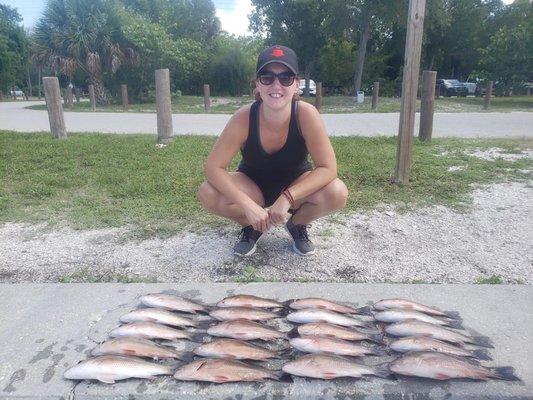 Cooler full of mangrove snapper