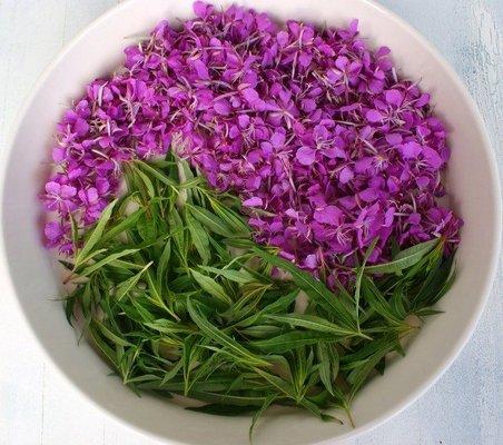 FIREWEED BLOSSOMS