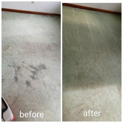 Carpet cleaning