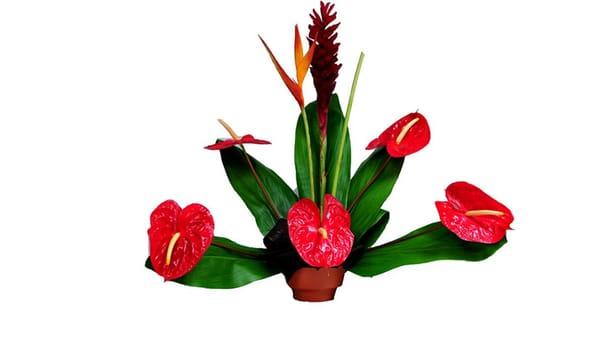 tropical Hawaiian floral arrangement