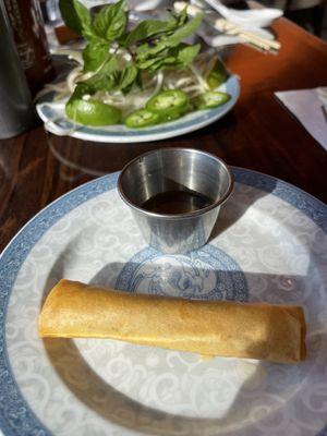 Fresh Spring Rolls