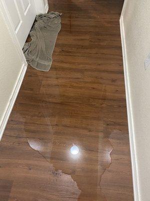 Hallway floor