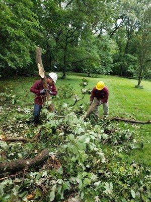 We are known for expert tree service and storm damage clean up.