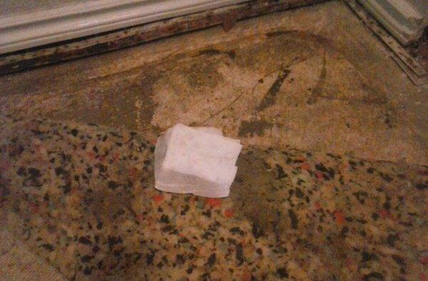 So yeah. Months and months of living with this mold under my carpet. After I showed the manager in person, it still took a month to remove.