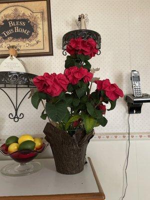 Winter Rose Poinsettia