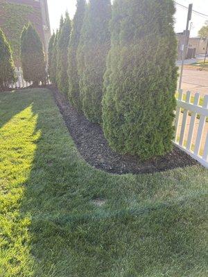 bed edging/mulch prep