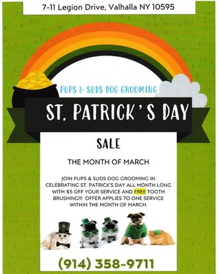 Get your furry friend ready for St. Patrick Day with Pups & Suds Dog grooming!