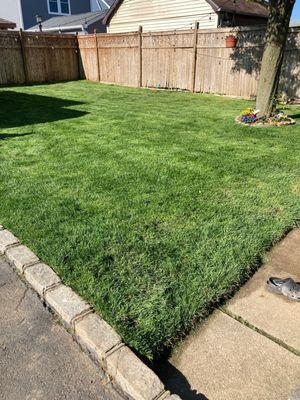 No lawn damage after the construction.