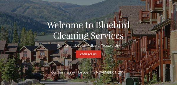 Bluebird Cleaning