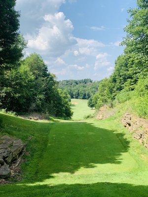 Beautiful hole on back nine.