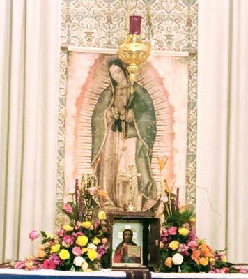 Virgen de Guadalupe!!!