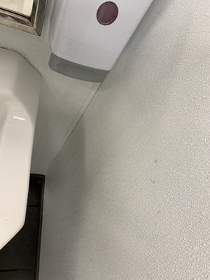 Dirty walls in Men's bathroom