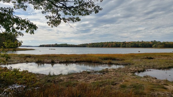 Captain Alfred Skolfield Nature Preserve