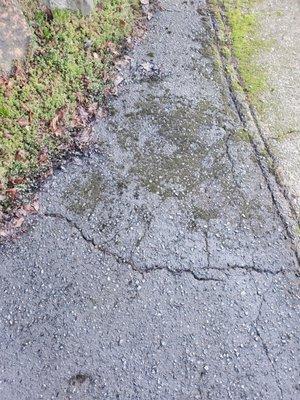 More unfilled cracks and moss under sealant.