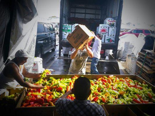 Farmers Market-Immokalee, Fl.