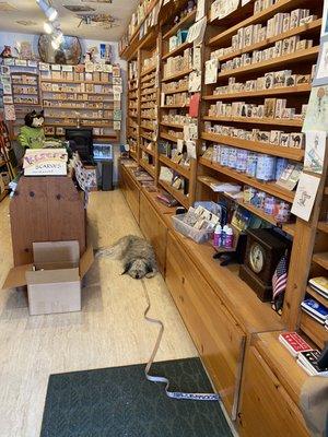 Paws on Main is THE place to find cool stamps and get great info on where to go in Cambria.