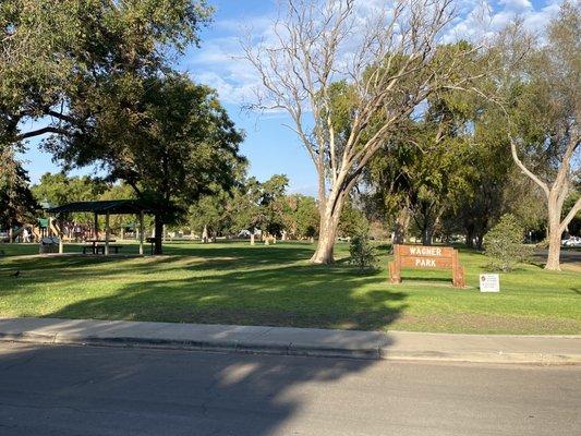 Morning in Wagner Park