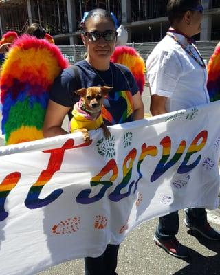 A Chihuahua supporting Olympia Pride!