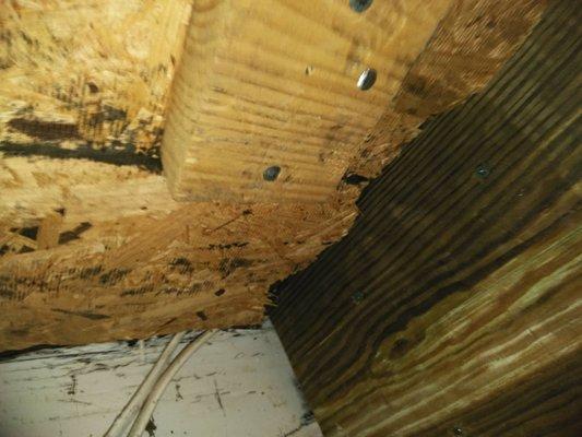 Put in new floor leveling joists in a Crawlspace.