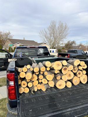 Firewood from our tree job!