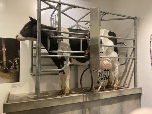 Milking machine