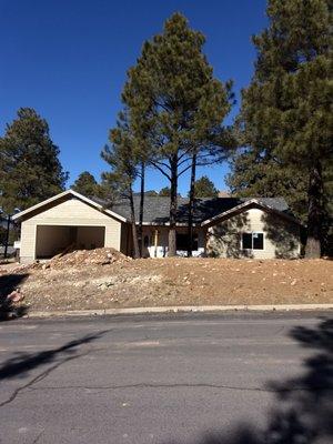 New construction shingle roof.