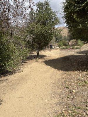 Walking with Nature Explorers