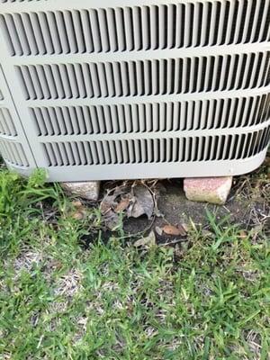 This is an example of how NOT to set a condenser.  It should be sitting on a pad. This would not pass a city inspection.