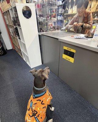 Friendly staff giving treats to our dog at every visit.