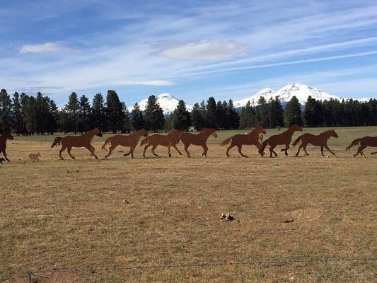 Love Central Oregon