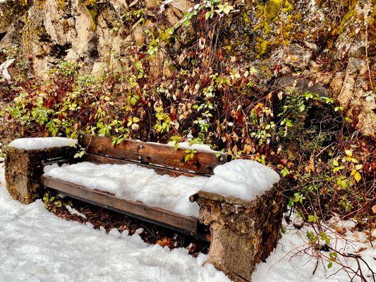 McCloud River Preserve