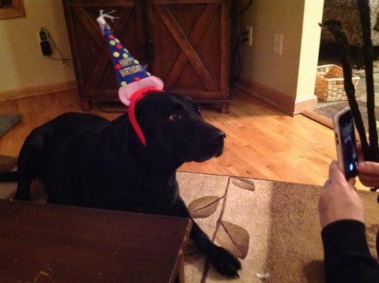 Oh birthday boy is such a good boy