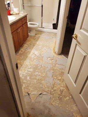 Full master bath, no vinyl or baseboards