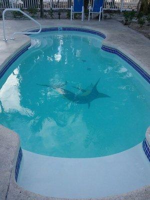 Islamorada Pool Service